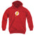 JLA - Rough Flash Youth Hooded Sweatshirt