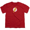 JLA - Rough Flash Youth Short Sleeve