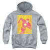 JLA - Simple Flash Poster Youth Hooded Sweatshirt