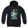 JLA - Fist Flare Youth Hooded Sweatshirt