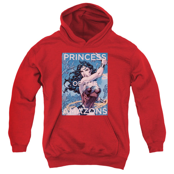 JLA - Princess Of The Amazons Youth Hooded Sweatshirt