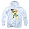 JLA - Painted Archer Youth Hooded Sweatshirt