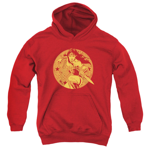 Jla - Young Wonder Youth Hooded Sweatshirt