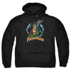 JLA - Ruler Of The Seas Adult Pullover Hoodie