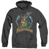 JLA - Ruler Of The Seas Adult Heather Hoodie