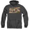 JLA - Cinematic League Adult Heather Hoodie