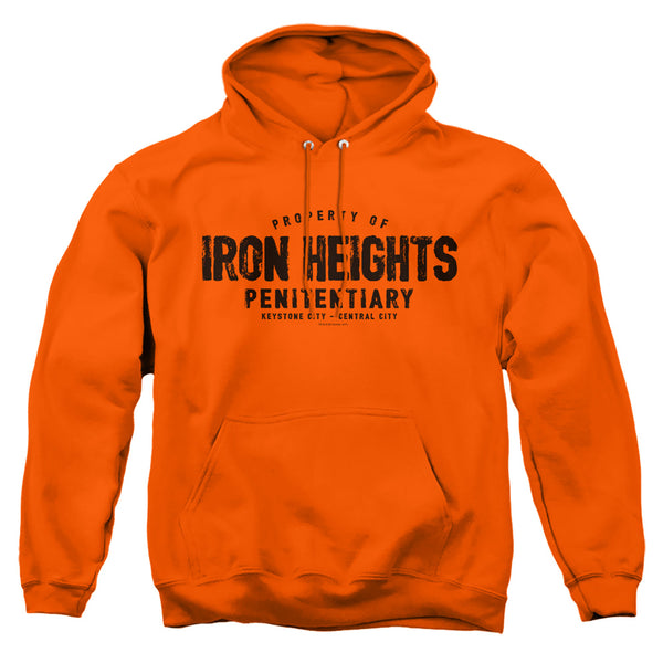 JLA - Iron Heights Adult Pullover Hoodie