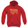 Wonder Woman - Wonder Woman 75Th Anniversary Gold Logo Youth Hooded Sweatshirt
