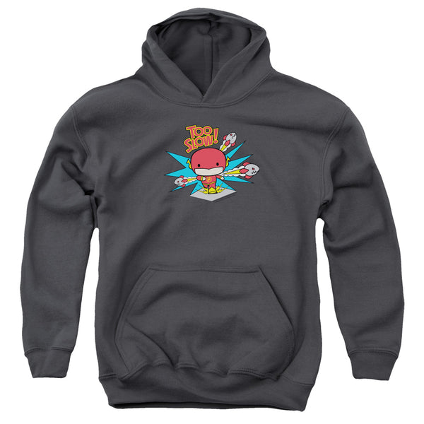 Flash - Too Slow Youth Hooded Sweatshirt