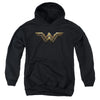 Justice League Movie - Wonder Woman Logo Youth Hooded Sweatshirt