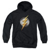 Justice League Movie - Flash Logo Youth Hooded Sweatshirt