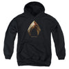 Justice League Movie - Aquaman Logo Youth Hooded Sweatshirt