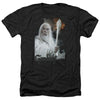 Lord of the Rings - Gandalf Adult Regular Fit Heather Short Sleeve
