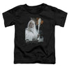 Lord of the Rings - Gandalf Toddler Short Sleeve