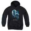 Lord of the Rings - Sneaking Youth Hooded Sweatshirt