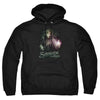 Lord of the Rings - Samwise The Brave Adult Pullover Hoodie