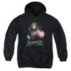 Lord of the Rings - Samwise The Brave Youth Hooded Sweatshirt