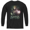 Lord of the Rings - Samwise The Brave L - S Youth