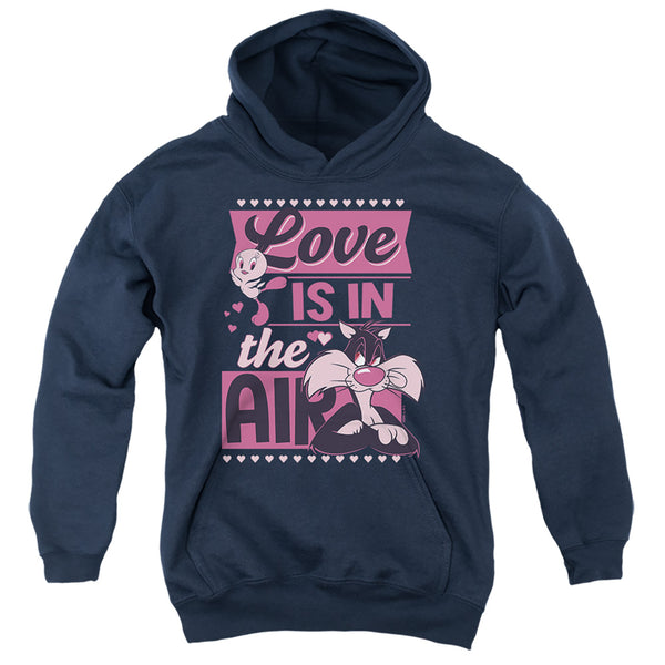 Looney Tunes - Valentine's Day Tweety Sylvester Love In The Air Youth Hooded Sweatshirt