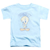 Looney Tunes - Tweety Fade Toddler Short Sleeve