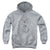 Looney Tunes - Faded Taz Youth Hooded Sweatshirt