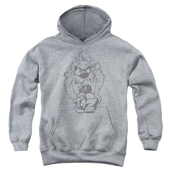 Looney Tunes - Faded Taz Youth Hooded Sweatshirt