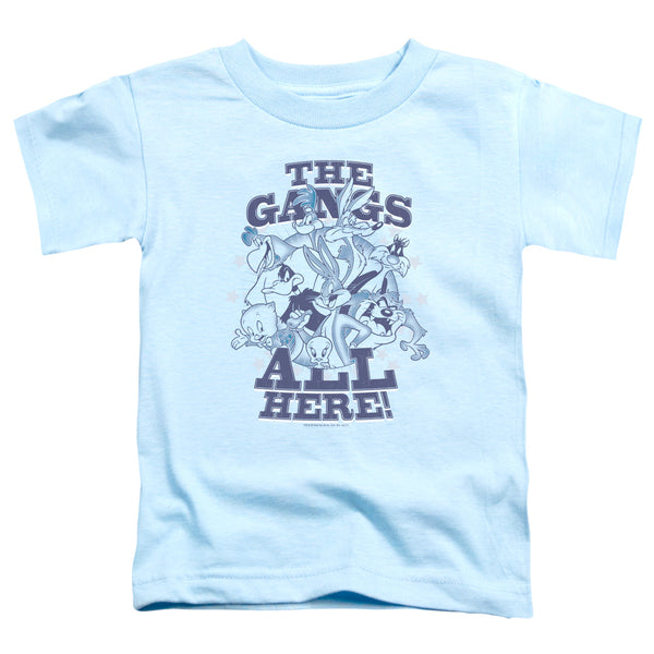 Looney Tunes - Blue Gang Toddler Short Sleeve