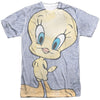 Looney Tunes - Tweety Girl Adult Regular Fit Short Sleeve 100% Poly