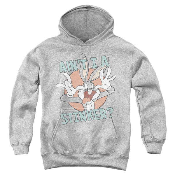 Looney Tunes - Aint I A Stinker Youth Hooded Sweatshirt