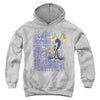 Looney Tunes - Graffiti Duck Youth Hooded Sweatshirt