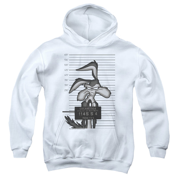 Looney Tunes - Wile E. Coyote Busted Youth Hooded Sweatshirt