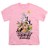 Looney Tunes - Gang 2 Youth Short Sleeve