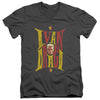Rocky IV - IVan Adult Slim Fit V Neck Cotton