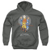Avatar The Last Airbender - Team Avatar Youth Hooded Sweatshirt