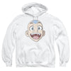 Avatar The Last Airbender - Big Aang Face Adult Pullover Hoodie