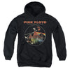 Pink Floyd - Vintage Pyramids Youth Hooded Sweatshirt