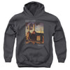 Pink Floyd - Faded Animals Youth Hooded Sweatshirt