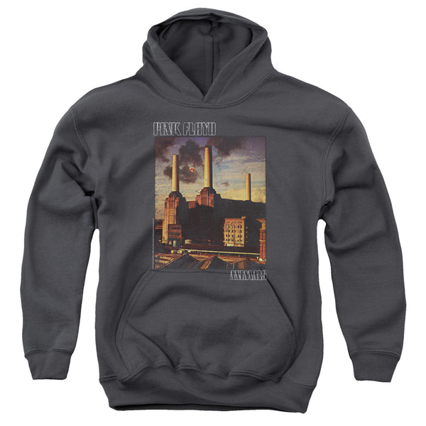 Pink Floyd - Faded Animals Youth Hooded Sweatshirt