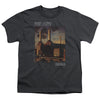 Pink Floyd - Faded Animals Youth Short Sleeve
