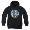 Pink Floyd - Division Bell Cover Youth Hooded Sweatshirt