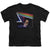 Pink Floyd - Money Youth Short Sleeve