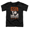 Pink Floyd - Pompeii Toddler Short Sleeve