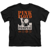 Pink Floyd - Pompeii Youth Short Sleeve