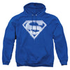 Superman - Ice And Snow Shield Adult Pull Over Hoodie