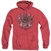 Superman - All Hail Superman Adult Heather Hoodie
