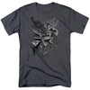Superman - Fight And Flight Short-Sleeve Shirt