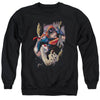Superman - Orbit Adult Crewneck Sweatshirt