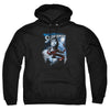Superman - Protect Earth Adult Pull Over Hoodie