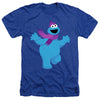Sesame Street - Furry Friends Forever! Cookie Monster Adult Regular Fit Heather Short Sleeve