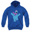 Sesame Street - Furry Friends Forever! Cookie Monster Youth Hooded Sweatshirt